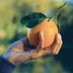 "Cancro io ti BOCCIO" 2026