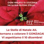 Le Stelle di Natale AIL ti aspettano