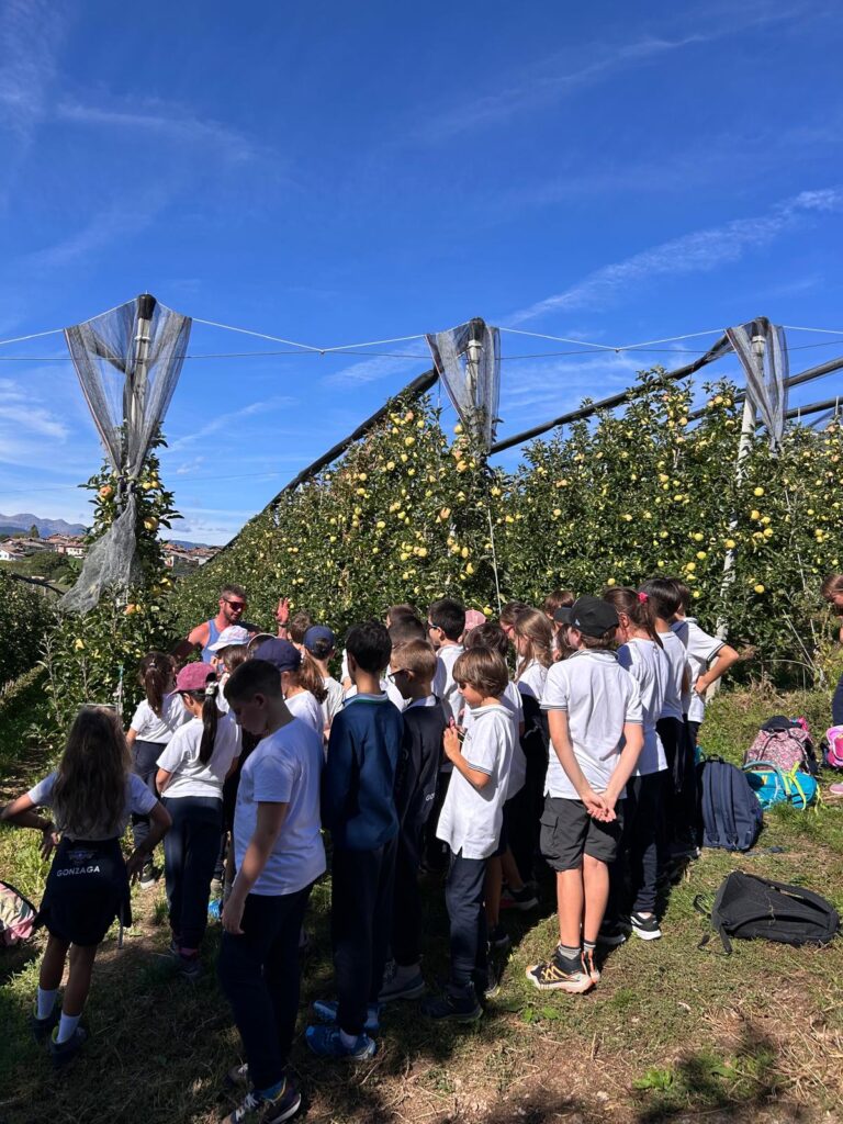 PRIMARIA: iniziare il quarto anno con il piede giusto! WhatsApp Image 2026 09 24 at 10.35.39 1